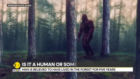 Mysterious naked 'wolfman' spotted in Germany's Harz mountains | Latest World News | WION