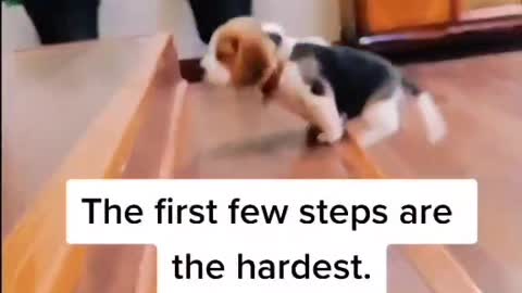 First steps are key