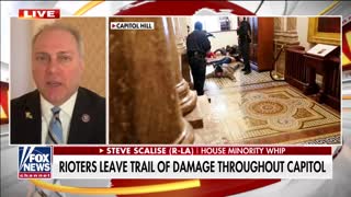 The Capitol was 'overrun by anarchists and terrorists': Scalise