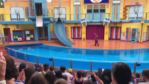 Sea World Orlando Seal Show