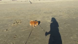 LeLe at the Beach part 1