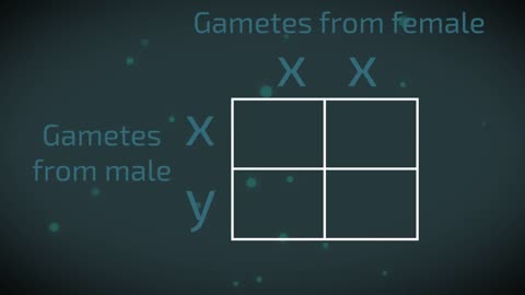 sex determination | Genetics | Biology