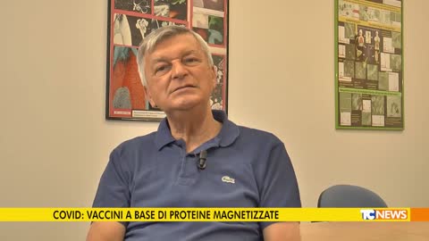 Covid: vaccines based on magnetized proteins