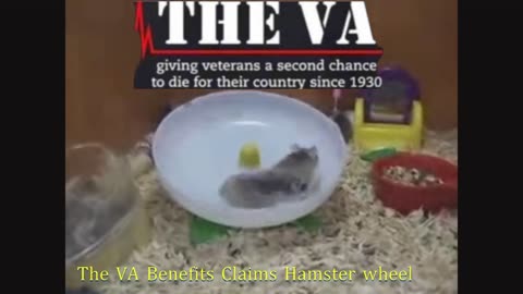 What happens after you file a VA claim for benefits?