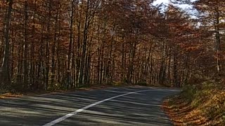 autumn in Montenegro