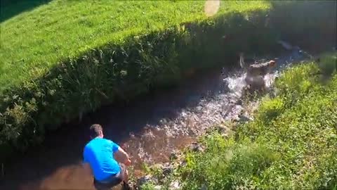 Dogs Training inside Water