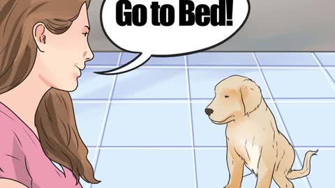 Encourage Your Dog to Sleep in Your Bed