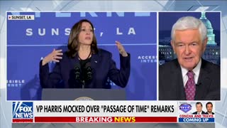 Gingrich: Kamala Harris May Be the ‘Dumbest Person’ Elected as Vice-President