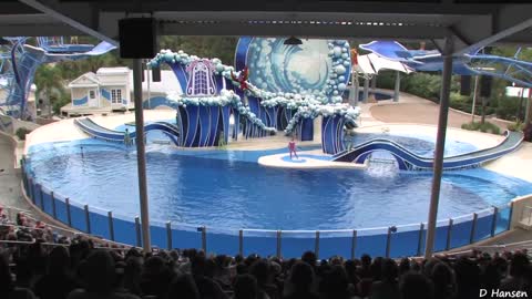 The Complete SeaWorld "Blue Horizons" Dolphin Show