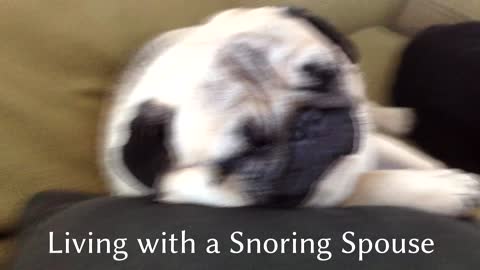 Living with a Snoring Spouse