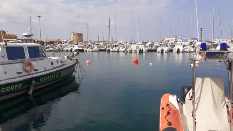 Seaport View From the Dock - Seagull and boats mooring sound