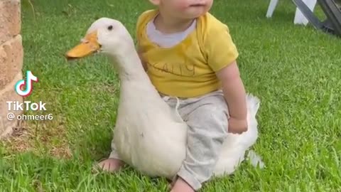 cute baby riding in a duck #funny