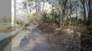 Hilton Head Island, December 2016, 2 months after Hurricane Matthew