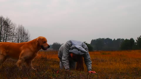 Dog refuses to perform tricks