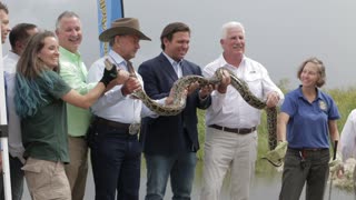 Gov. Ron DeSantis Announces Florida Python Challenge Registration Is Open