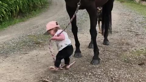 Little Girl Leads Horse __ ViralHog