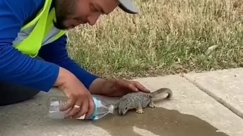 Man watering a squirrel and becoming friends