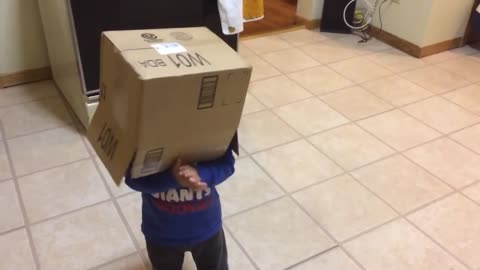 Kid Hilariously Runs Into Oven With Box Over His Head