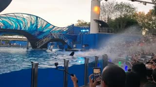 Splash zone at sea world