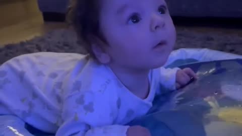 Cute video/baby video/ lovely video/wonderful baby