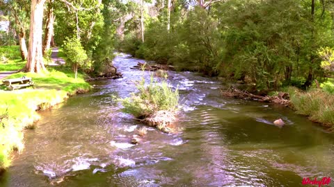 They Yarra river trail in Warburton Rural Victoria Australia