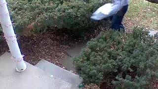 FED EX Employee THROWS package