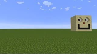 Minecraft Optical Illusions