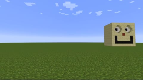 Minecraft Optical Illusions