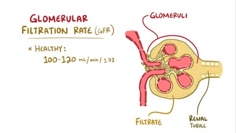 Chronic kidney disease - causes, symptoms, diagnosis, treatment, pathology