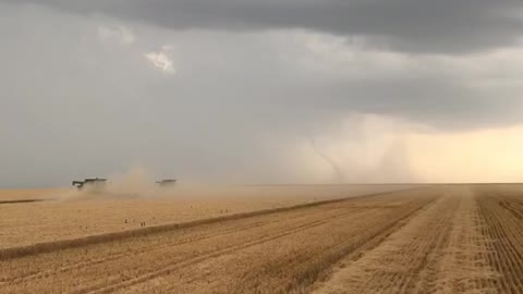 Farmers Don't Take Time Out for Tornado