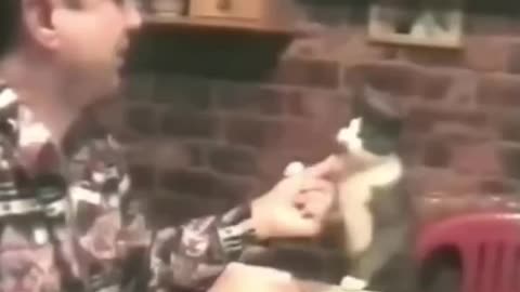 "Deaf Man Finds a Feline Partner in Food: The Heartwarming Story of a Cat's Sign Language Skills"