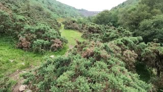 Dam and river at Meldon reservoir Dartmoor