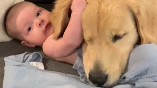 Baby And Dog Cuddling On The Couch