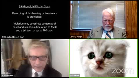 Lawyer Unable to Remove Cat Filter during Virtual Zoom Court Appearance