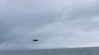 Eagle Flies Alongside Driver in Alaska