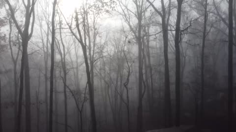 Foggy morning in GA mountains
