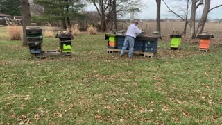 S4E5 - March 13, 2021 2ND SPRING MITE TREATMENT. GasVap answers, bees with pollen baskets.