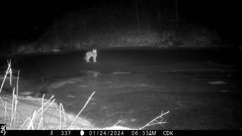 Trail Camera Pickup for 2024