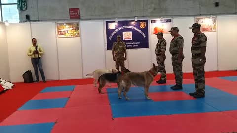 CISF demonstration of Dog Squad,dogs training