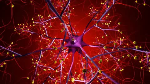 Brain Signals: How Dopamine and Serotonin Influence Social Behavior