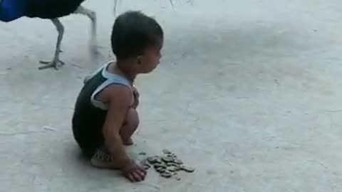 Cute baby playing with peacock