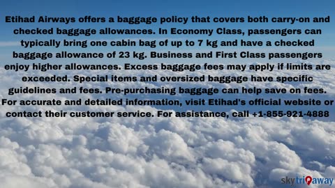 Etihad Airways Bagage Policy