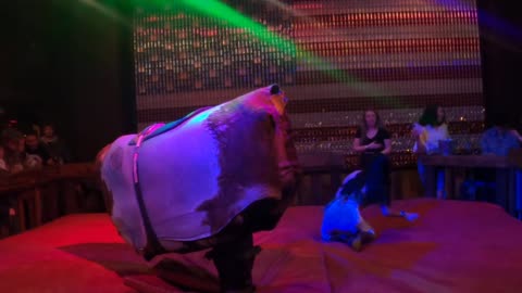 Mechanical bull riding in Las Vegas: getting dumped by the bull is harder than by a boyfriend