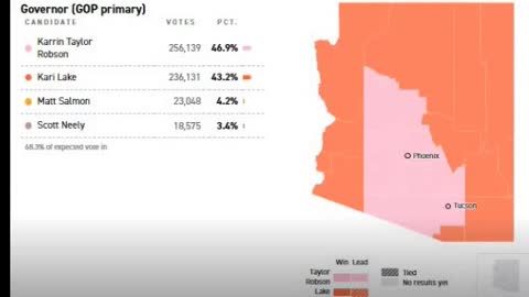 Arizona Aug 2nd 2022 gop gov primary vote reduction election fraud crime Kari Lake