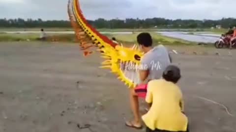 Fly a kite dragon