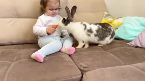 Cute_Baby_Gives_Carrots_to_a_Rabbit