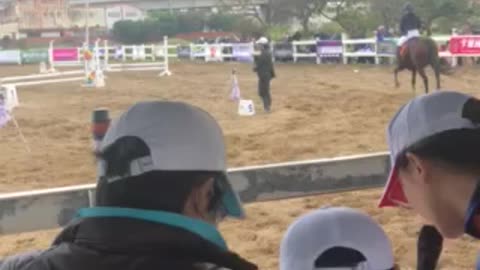 Horse competition