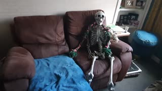 Pup gets scared by spooky skeleton Halloween decoration