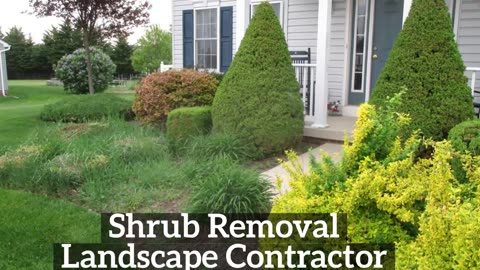 Shrub Removal Hagerstown Maryland Landscape Contractor