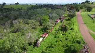 Abandoned Trains